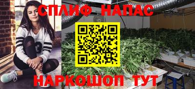 каннабис Моздок